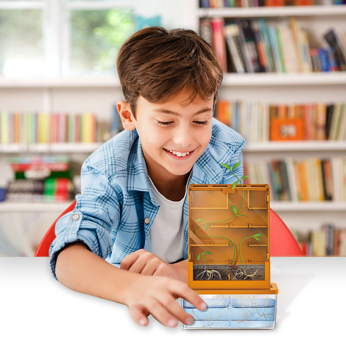 Green Science - Grow-A-Maze