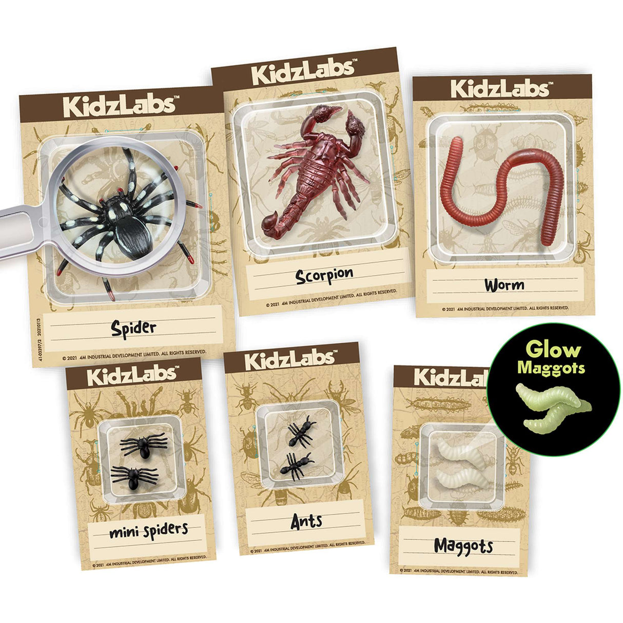 KidzLabs - Creepy Crawly Digging Kit