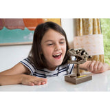 KidzLabs - Roaring T-Rex Skull
