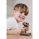 KidzLabs - Roaring T-Rex Skull