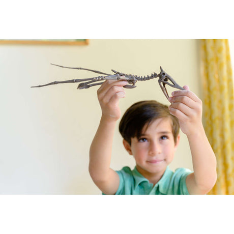 KidzLabs - Dig a Pteranodon Skeleton