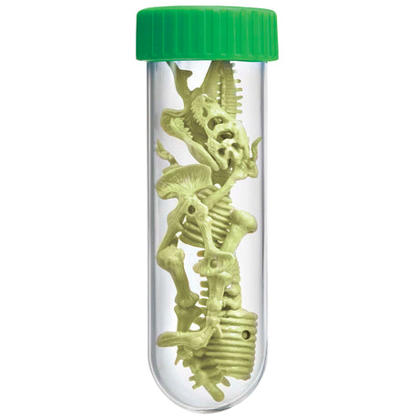 Kidzlabs - Glowing T-Rex Skeleton