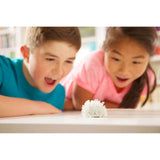 Glow Crystal Growing