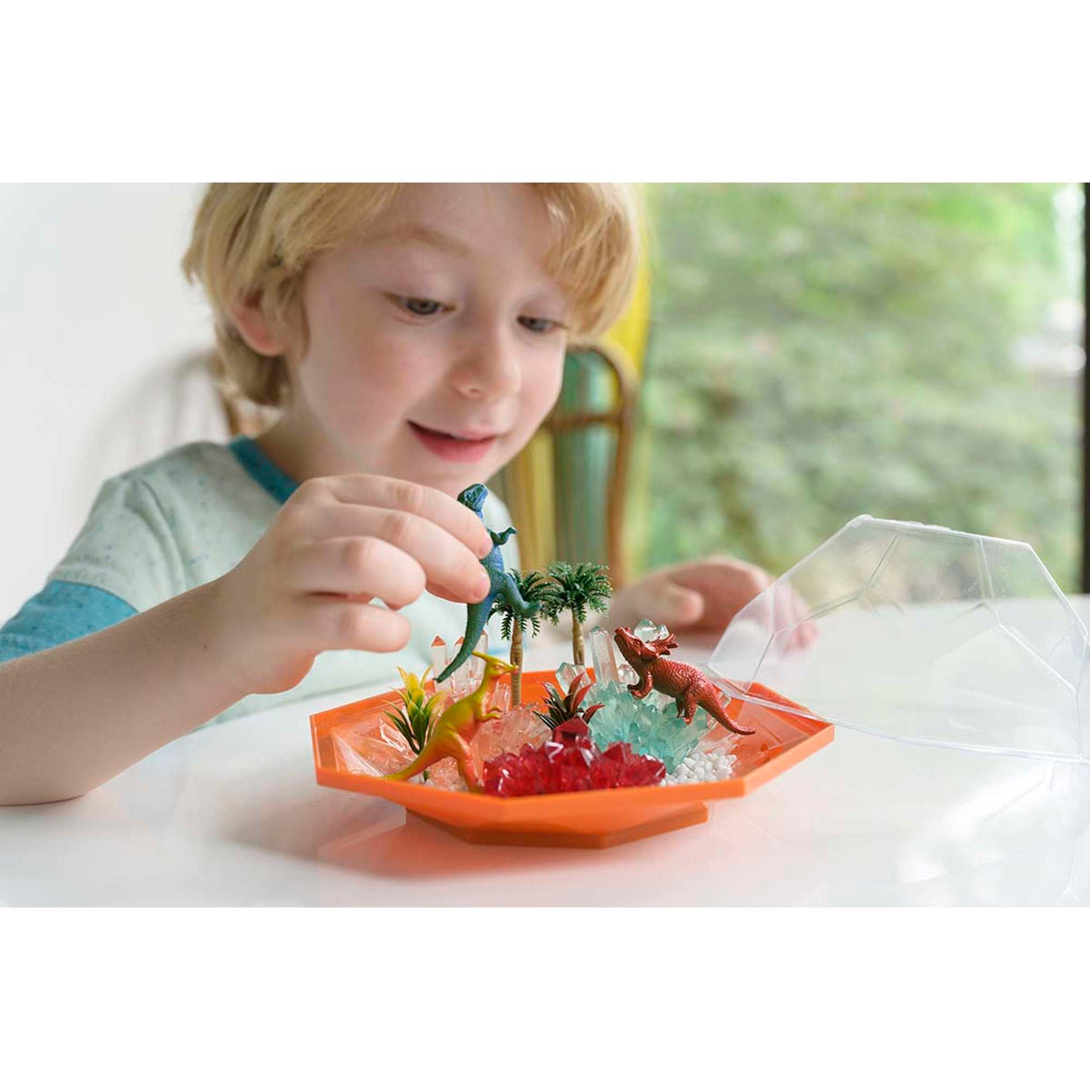 Crystal Growing - Dino Crystal Terrarium