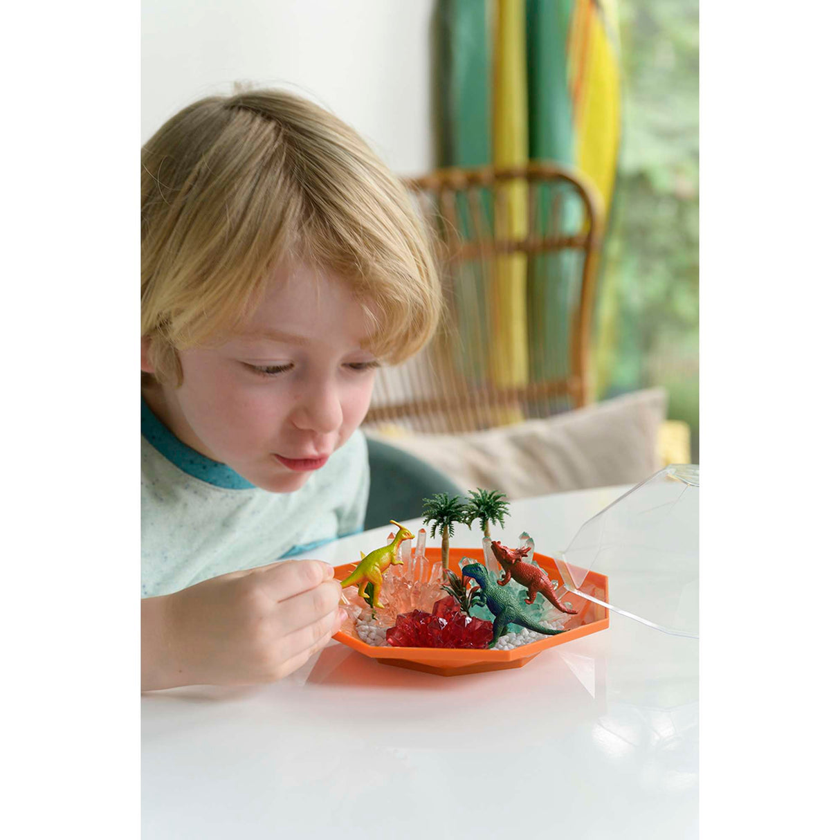 Crystal Growing - Dino Crystal Terrarium