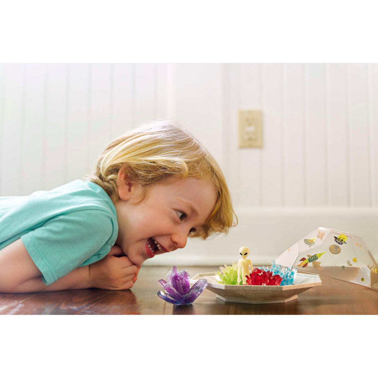 Crystal Growing - Outer Space Crystal Terrarium