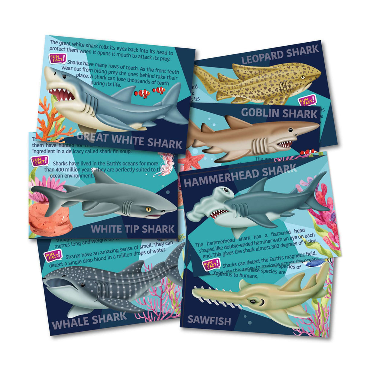 Mould & Paint - Sharks