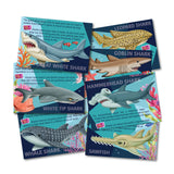 Mould & Paint - Sharks