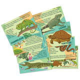 Mould & Paint - Reptile & Amphibian