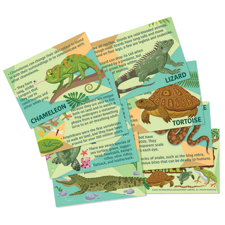 Mould & Paint - Reptile & Amphibian