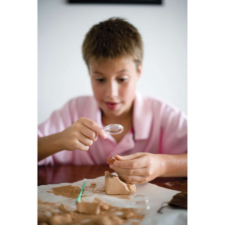 STEAM - Earth Science