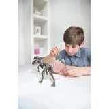 STEAM - Dinosaur World