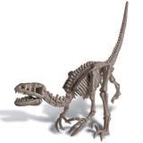 KidzLabs - Dig a Dinosaur Skeleton - Velociraptor