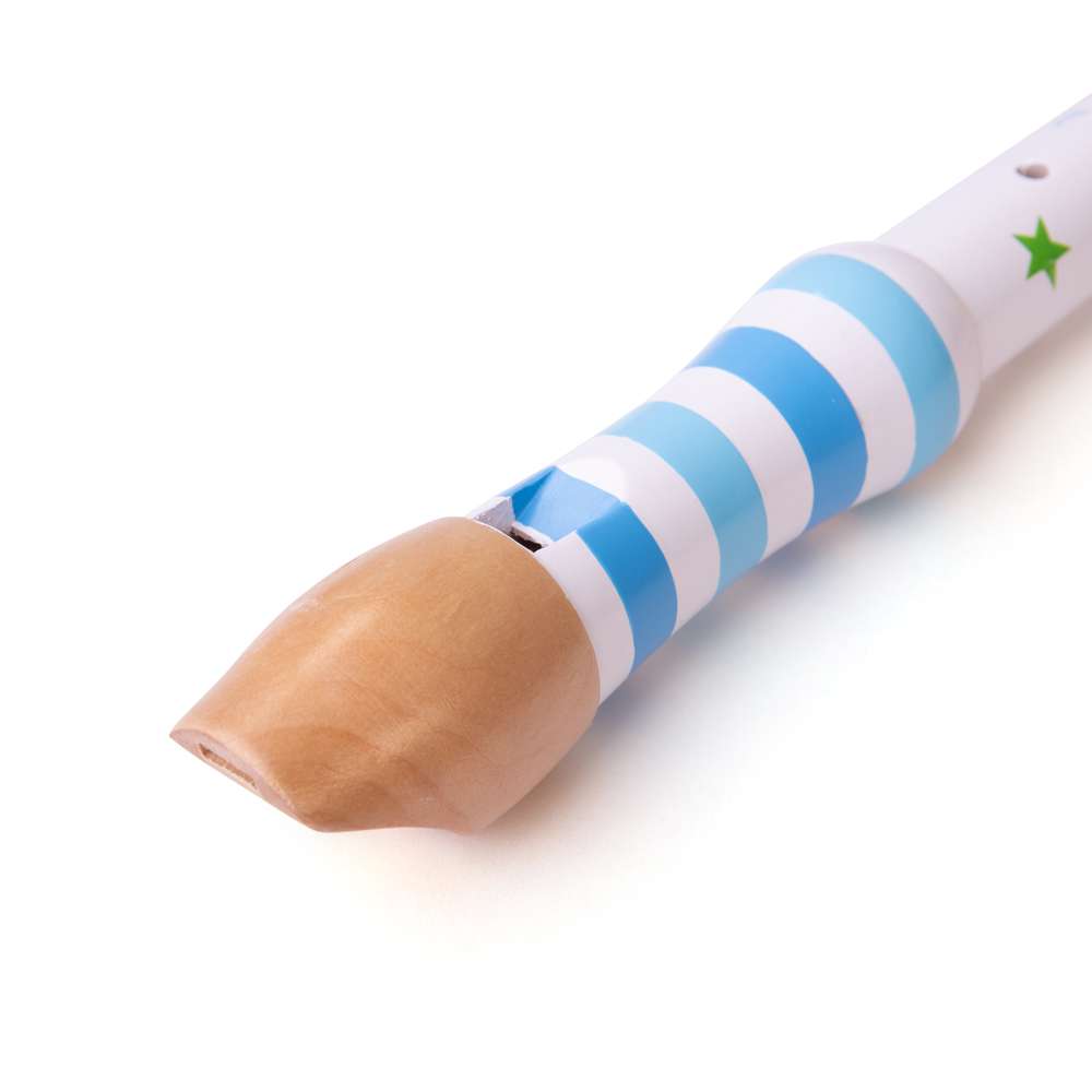 Recorder (One Supplied)