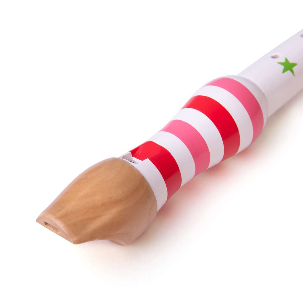 Recorder (One Supplied)