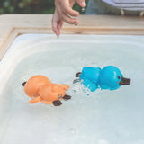 Bath Racers - Platypuses