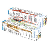 human-body-systems-and-statistics-cubebook-damaged-box-ZCC5020-3