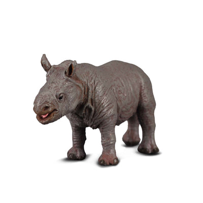 White Rhinoceros Calf