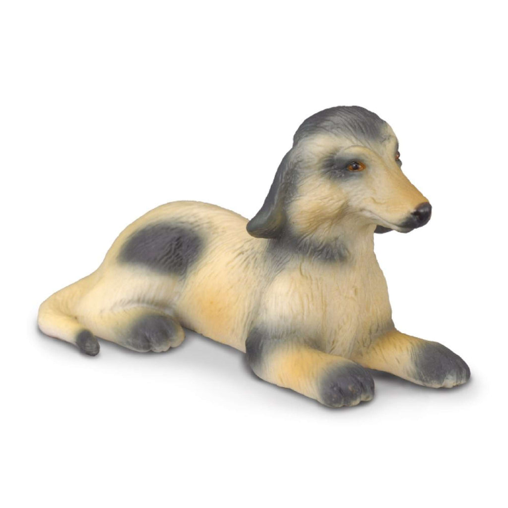 Afghan Hound Puppy Figurine CollectA Animal Figures – Bigjigs Toys