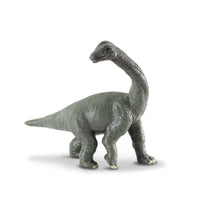 Brachiosaurus Baby