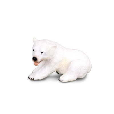 Polar Bear Cub Sitting