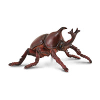 Rhinoceros Beetle
