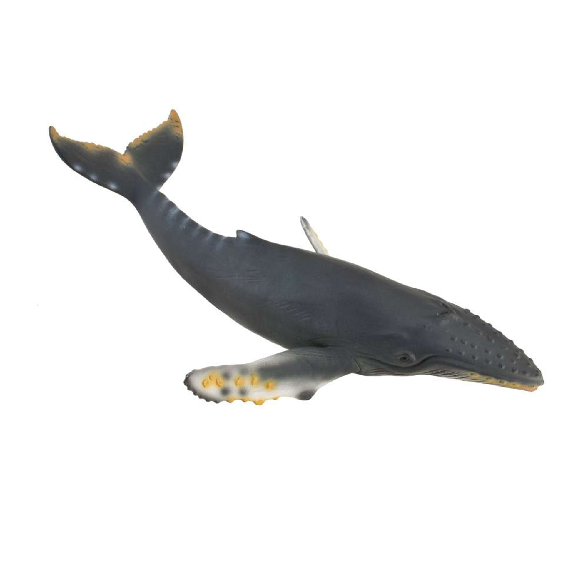 Humpback Whale Figurine CollectA Collectable Animal Figures