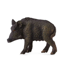 Wild Sow