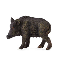 Wild Sow