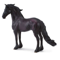 Friesian Stallion