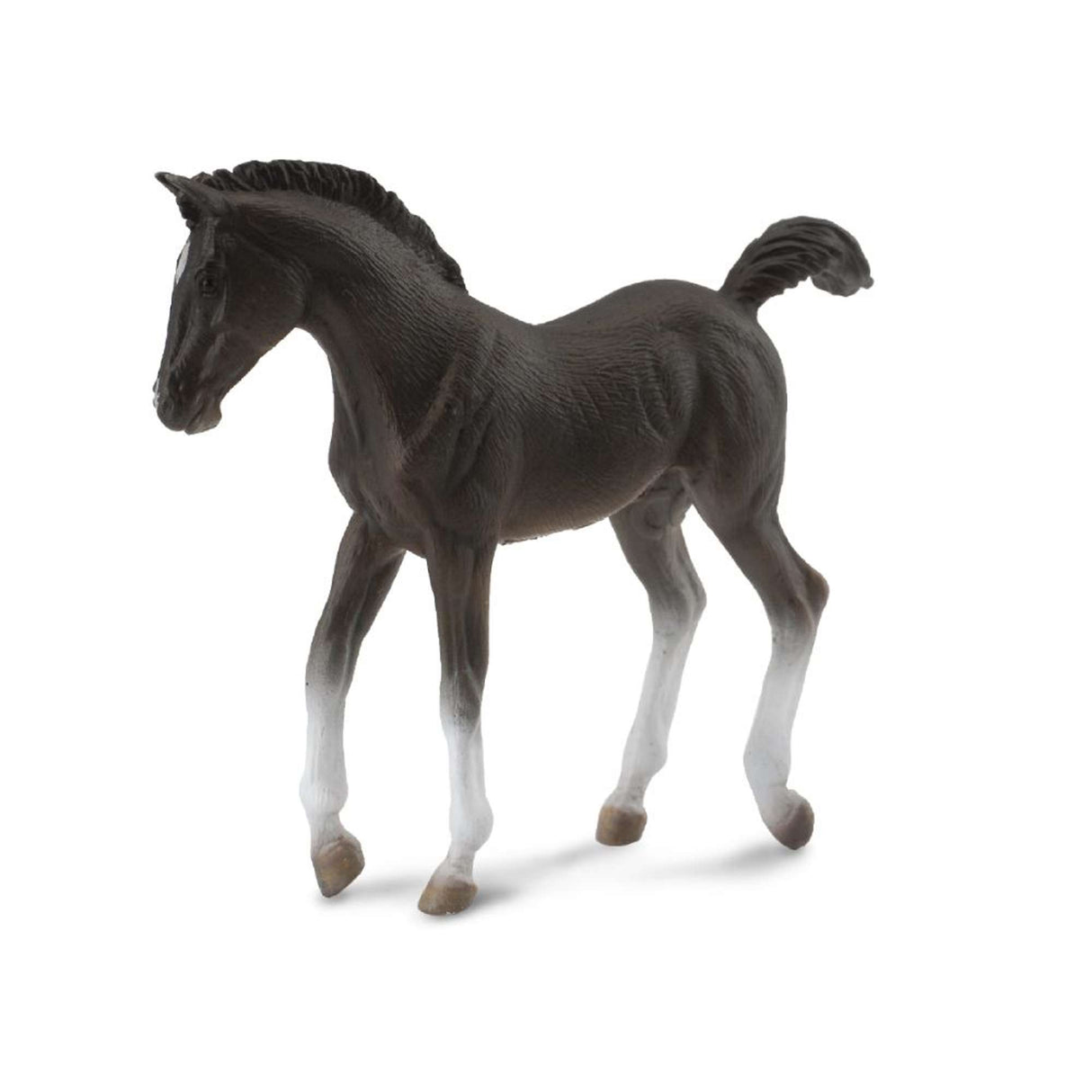 Tennessee Walking Horse Foal Black