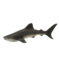 Whale Shark