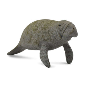 Manatee