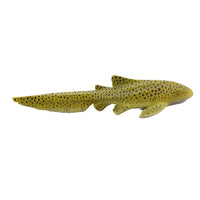 Zebra Shark