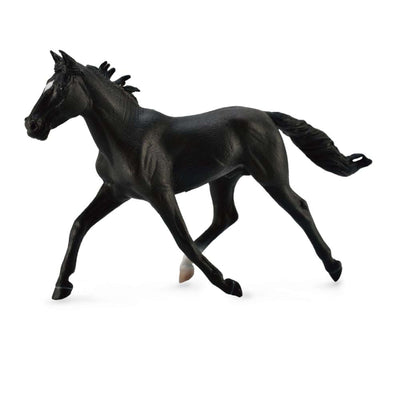 Standardbred Pacer Stallion Black