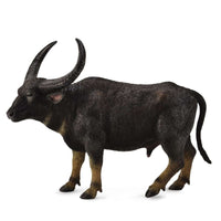 Wild Water Buffalo