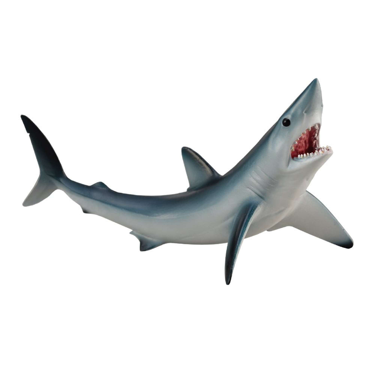 Shortfin Mako Shark
