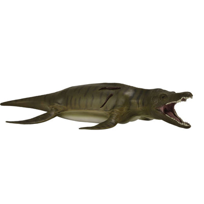 Pliosaurus 1:40 (Deluxe)