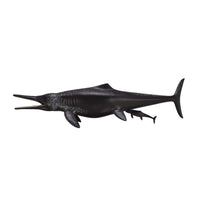 Temnodontosaurus Platyodon Birth