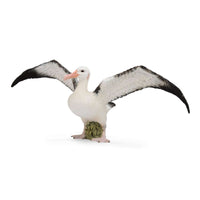Wandering Albatross