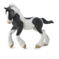Gypsy Foal Black & White Piebald