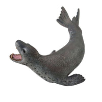 Leopard Seal
