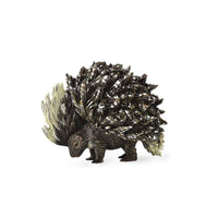 Porcupine (Indian Porcupine)