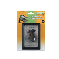 First Toe Of T-Rex In Display Case