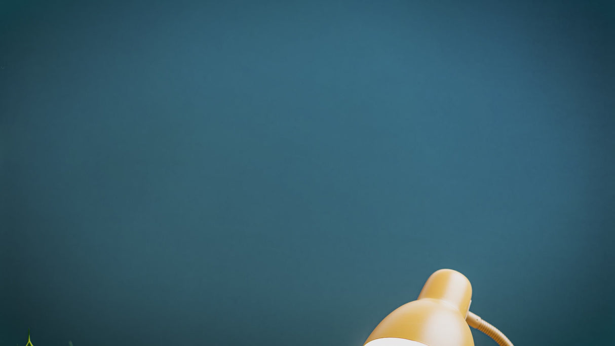 FSC® Certified Pull Along Fox