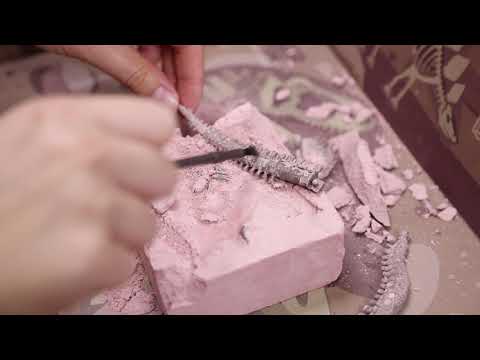 KidzLabs - Dig a Dinosaur Skeleton - Tyrannosaurus Rex