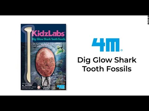 KidzLabs - Dig Glow Shark Tooth Fossils
