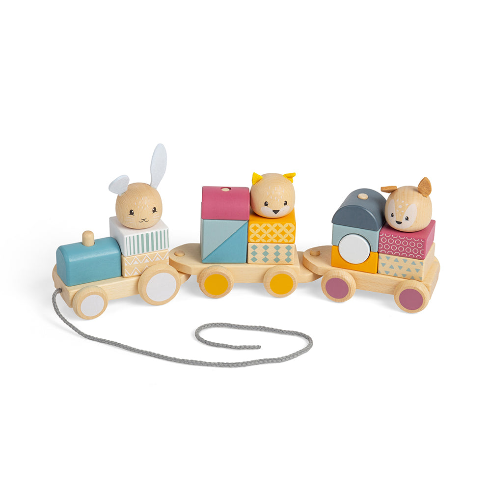 activity-pull-along-train-damaged-box-32012-3