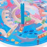 Aquatic Maze Puzzle - DAMAGED BOX