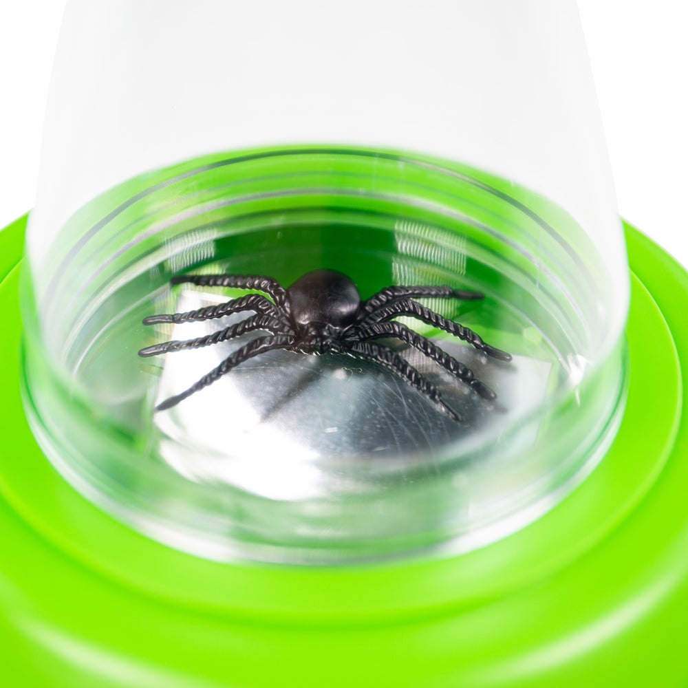 Multi View Magnifier